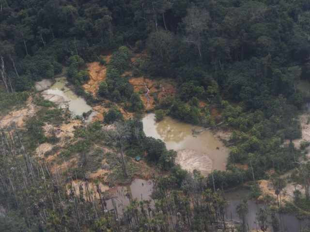 Relatórios sigilosos da era Bolsonaro mostram pouco apoio contra invasão de terra Yanomami