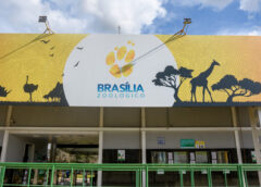 Editorial Jurídico-Político| Togas em rinha: a democracia brasileira sob risco