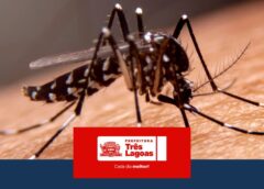BOLETIM DENGUE E LEISHMANIOSE – 10 de março de 2026