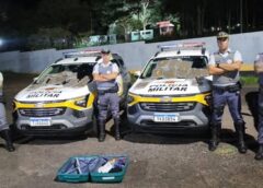 🚨 IMPACTO NA RAPOSO TAVARES: POLÍCIA RODOVIÁRIA APREENDE CARGA DE SKANK E DETÉM MENOR EM PRESIDENTE PRUDENTE! 👮‍♂️⚖️