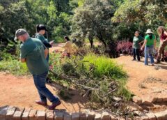 Clube de Jardinagem faz manejo de área do Jardim Botânico de Sorocaba