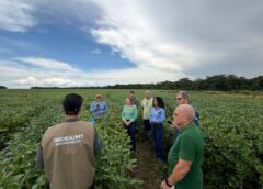 Missão técnica do Idaf em Mato Grosso reforça ações de defesa sanitária vegetal no Acre