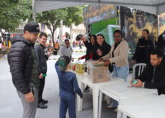 Troca solidária de figurinhas arrecada cerca de uma tonelada de alimentos