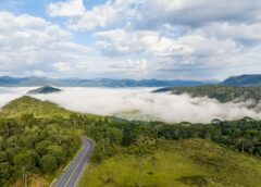 Massa de ar frio derruba temperaturas em Santa Catarina e mantém tempo firme até quinta-feira