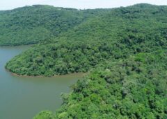 No Junho Verde, Governo do Estado destaca projetos e ações que impulsionam o desenvolvimento sustentável de Santa Catarina