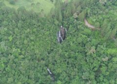 Reserva Biológica Estadual da Canela Preta: 46 anos dedicados à conservação da biodiversidade entre Botuverá e Nova Trento