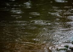 Em Santa Catarina, 24 municípios registram mais de 100 mm de chuva em apenas um dia