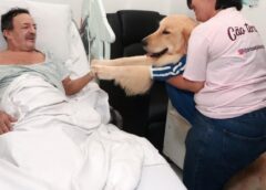 Visita de cães leva acolhimento e bem-estar a pacientes do Hospital dos Estivadores, em Santos