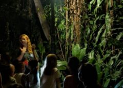 Visita Noturna revela um novo Orquidário e aproxima público da natureza em Santos