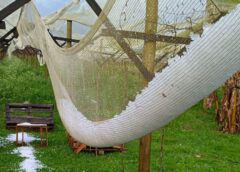 Chuva forte causa estragos em 14 municípios de Santa Catarina e risco de temporais segue alto até sábado