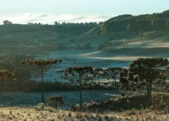 Temperaturas despencam em Santa Catarina a partir desta quinta-feira e frio se intensifica no fim de semana