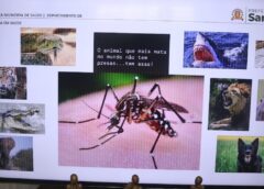 Santos orienta profissionais de saúde sobre prevenção e identificação da leishmaniose