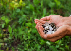 TCU homologa conversão de sanções agropecuárias em multas e sinaliza novo paradigma