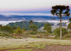 Frio persiste em Santa Catarina nesta semana e chuva forte retorna a partir de sexta