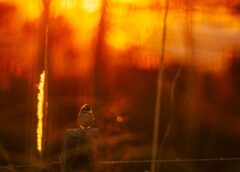 Temperaturas acima de 30°C marcam o fim de semana em Santa Catarina