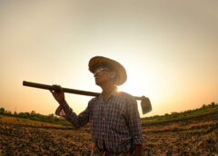 Inaplicabilidade do artigo 66 da LREF ao arrendamento rural