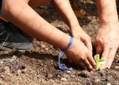 Entidades pedem apoio de candidatos em defesa da agroecologia