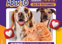 Canil Municipal de Sorocaba é aberto para adoção responsável de cães e gatos no dia 24 de outubro