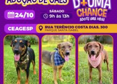 CEAGESP recebe evento de adoção de cães do Canil Municipal de Sorocaba neste sábado (24)