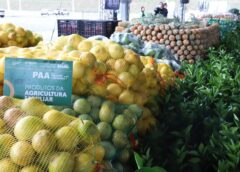 Sepror prorroga prazos de editais para 62 municípios e garante participação de produtores rurais após feriado