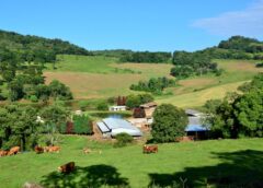 Santa Catarina integra ações de prevenção e resposta a eventos climáticos no meio rural e pesqueiro 