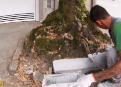 Pompeia, em Santos, recebe força-tarefa de zeladoria do Viva o Bairro